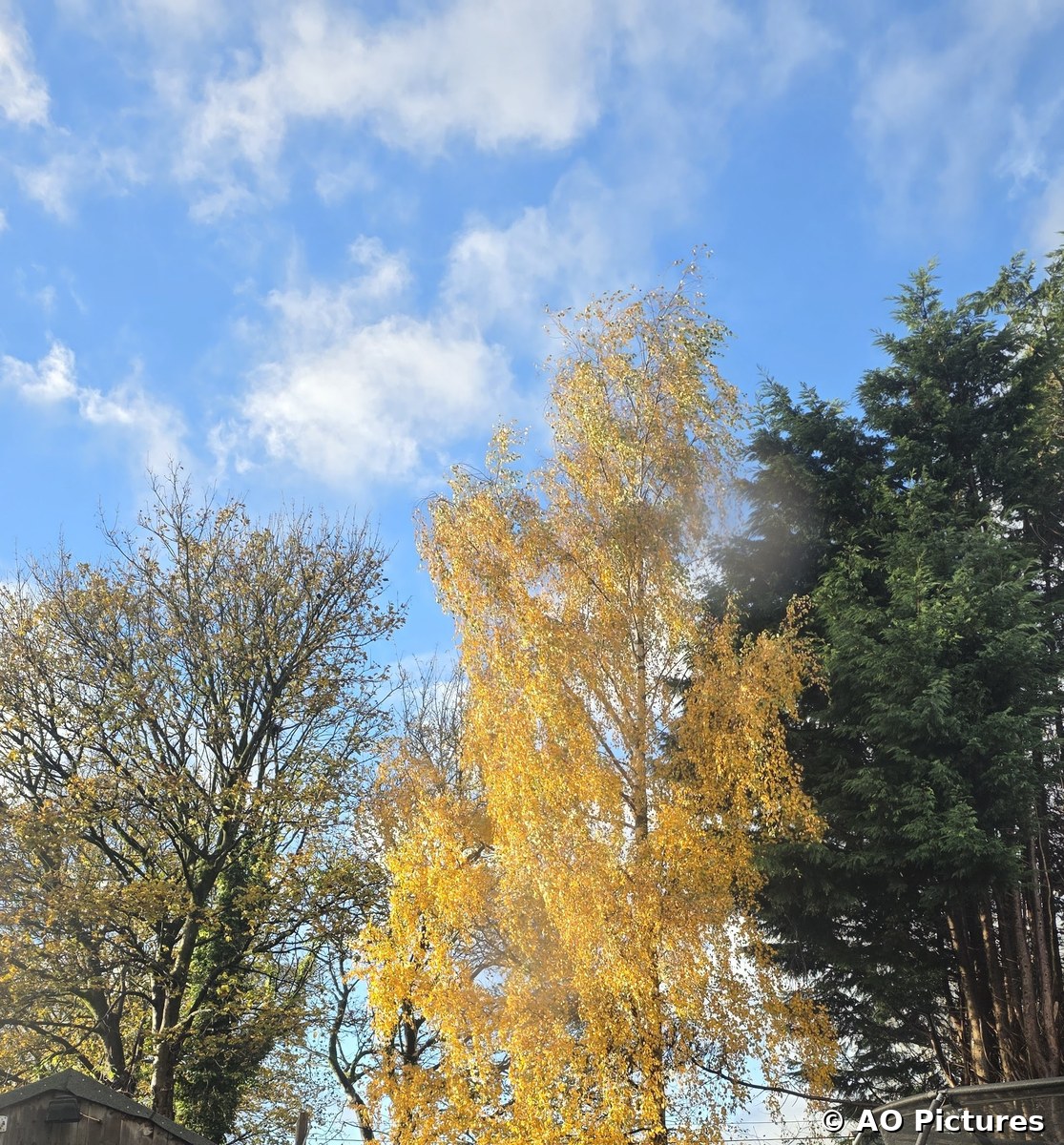 Shades of Autumn